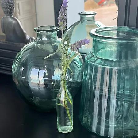 Rurales El Solsuco ビリャビシオサ