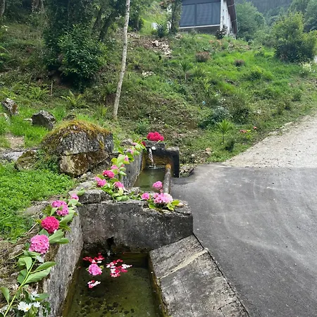 アパート Rurales El Solsuco *