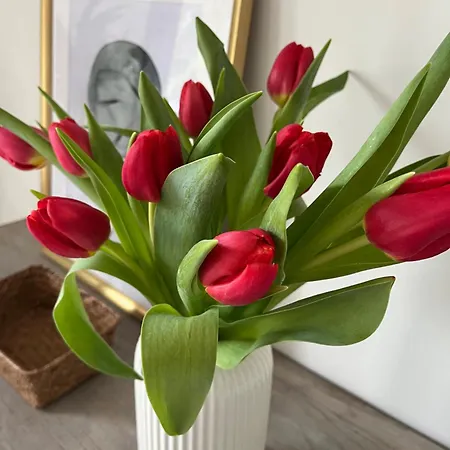 Rurales El Solsuco Appartement