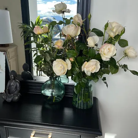 Rurales El Solsuco Villaviciosa (Asturias)