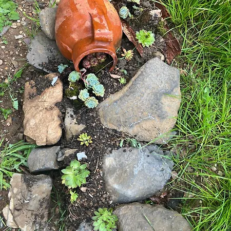 Rurales El Solsuco Appartement Villaviciosa (Asturias)